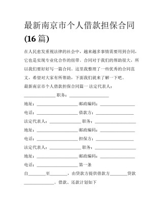 最新南京市个人借款担保合同(16篇)