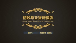 精选答辩PPT (68).ppt