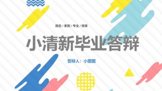 精选答辩PPT (24).pptx