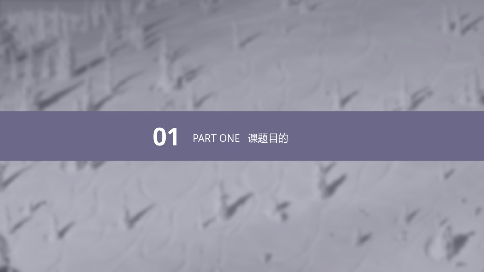 答辩PPT (11).pptx_第3页