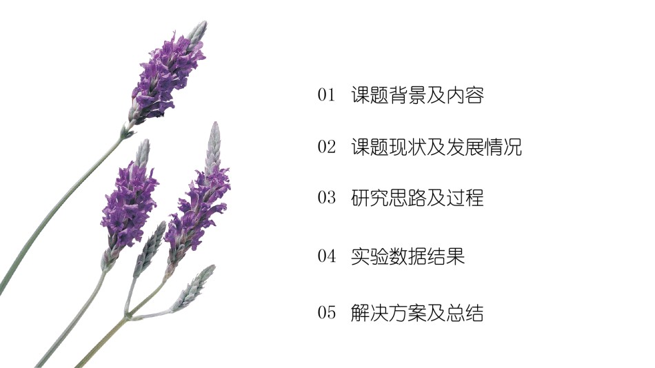 答辩PPT (272).pptx_第2页