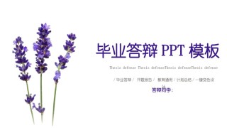 答辩PPT (272).pptx