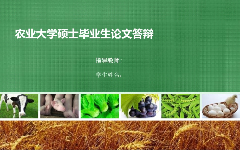 PPT答辩 (118).pptx_第1页