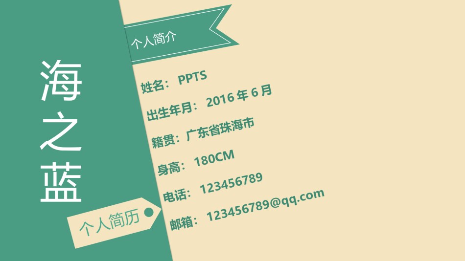 竞聘简历(49).pptx_第2页