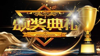 年会颁奖盛典晚会 (28).pptx