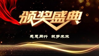 年会颁奖盛典晚会 (45).pptx