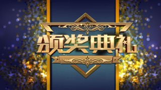 年会颁奖盛典晚会 (81).pptx