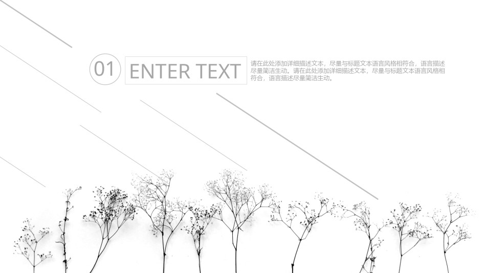 简洁风格(13).pptx_第3页