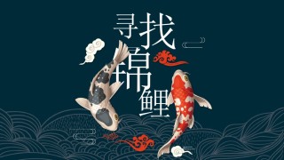 精品系列(10).pptx