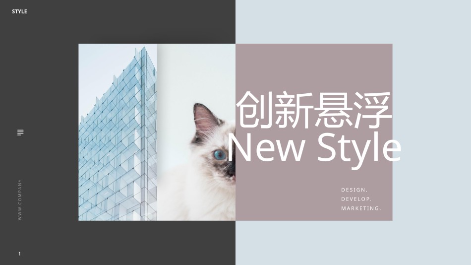 精品系列(39).pptx_第1页