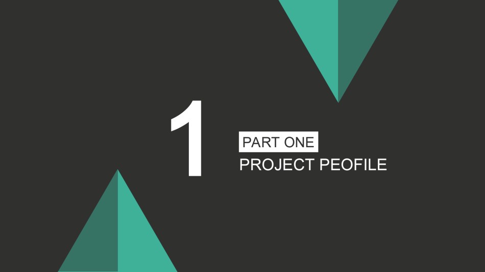 商业策划(27).ppt_第3页