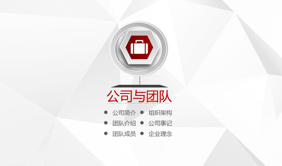商业策划(15).pptx_第3页
