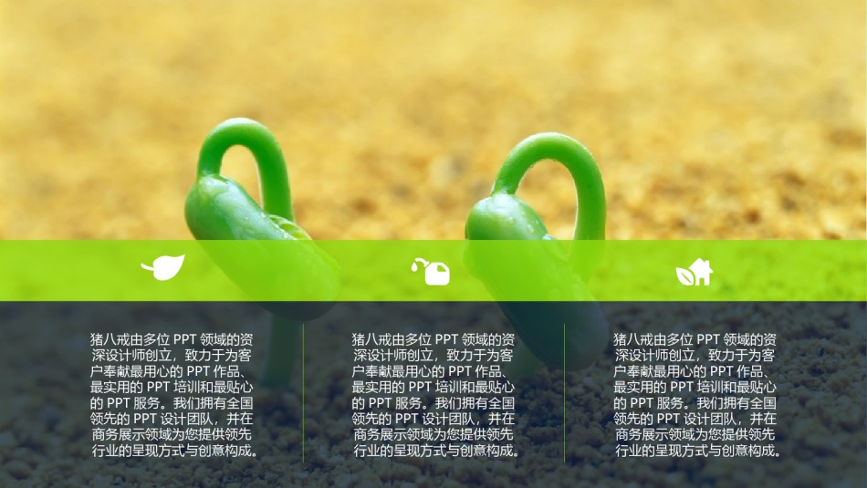 静态精选(35).pptx_第3页