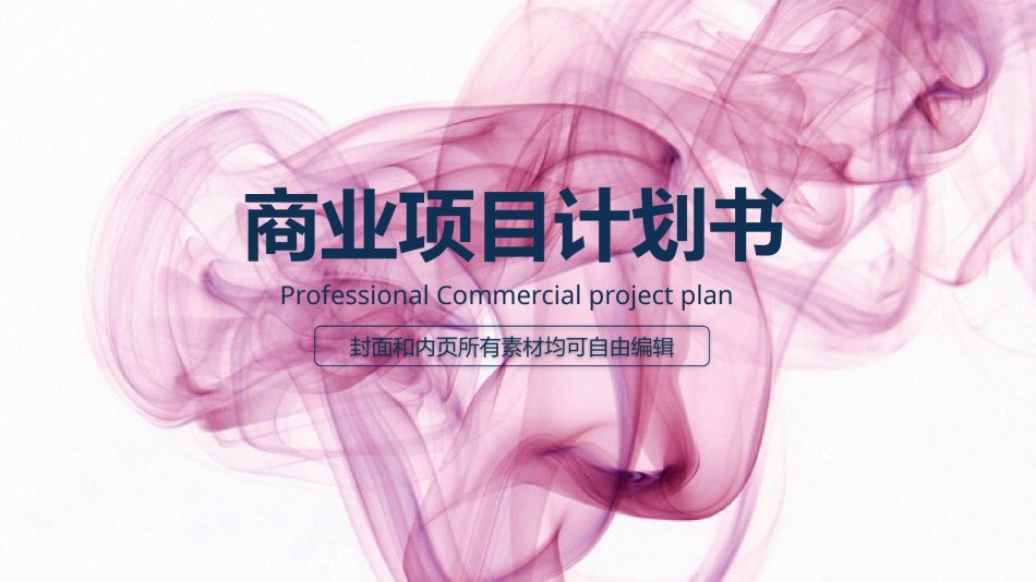商业策划(2).pptx_第1页