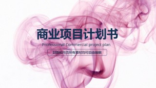 商业策划(2).pptx