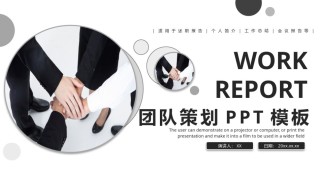 商业策划(77).pptx