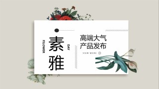 产品发布 (13).pptx