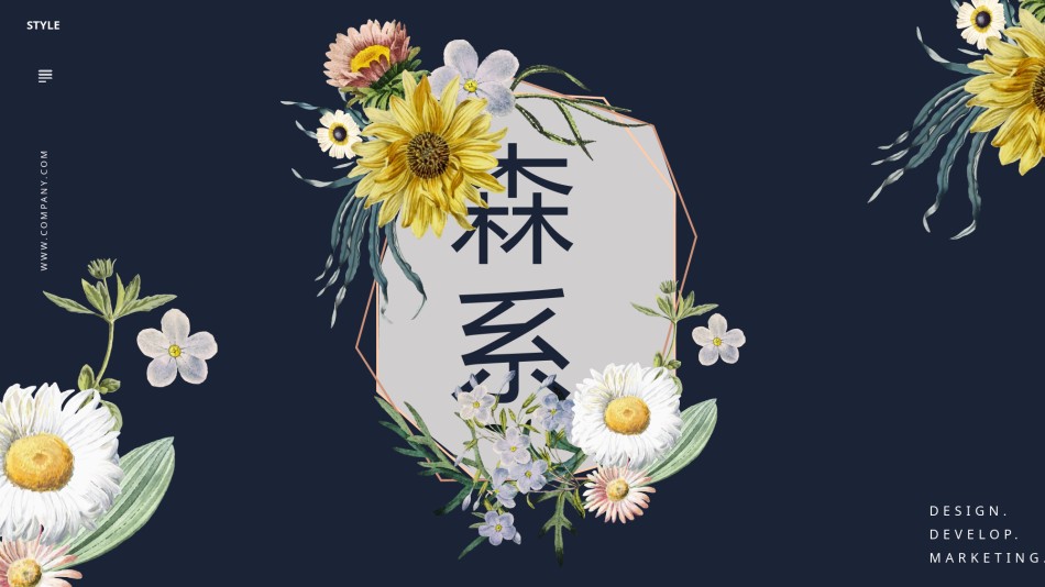 产品发布 (14).pptx_第1页