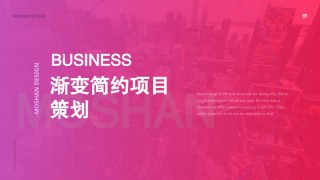 项目策划(29).pptx