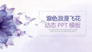 动态动画(100).pptx