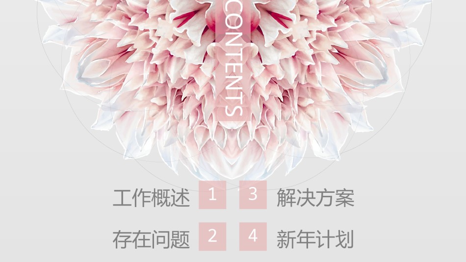动态动画(95).pptx_第3页