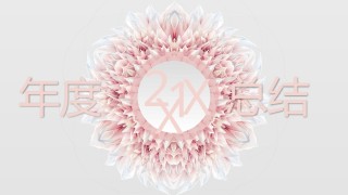 动态动画(95).pptx