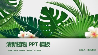 清新文艺10.pptx