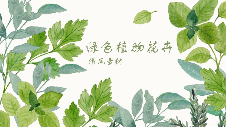 清新文艺11.pptx_第1页
