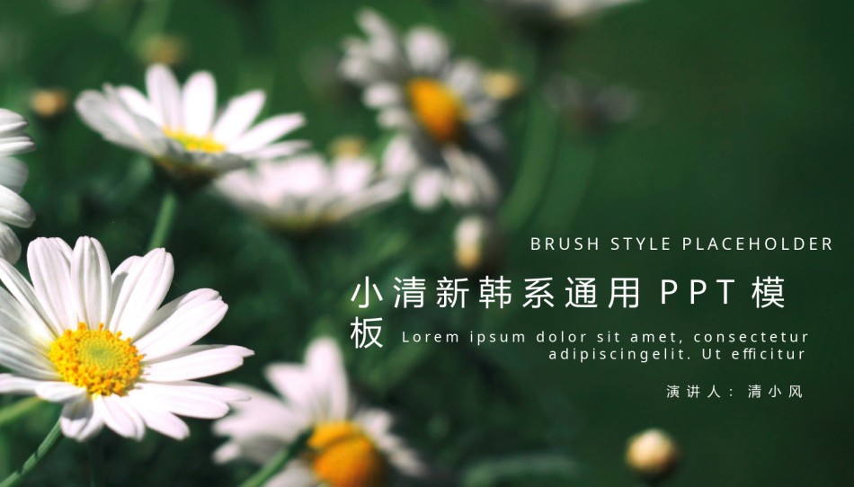 清新文艺27.pptx_第1页