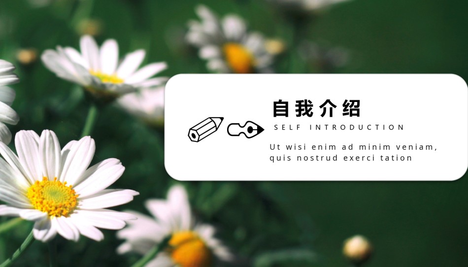清新文艺27.pptx_第3页