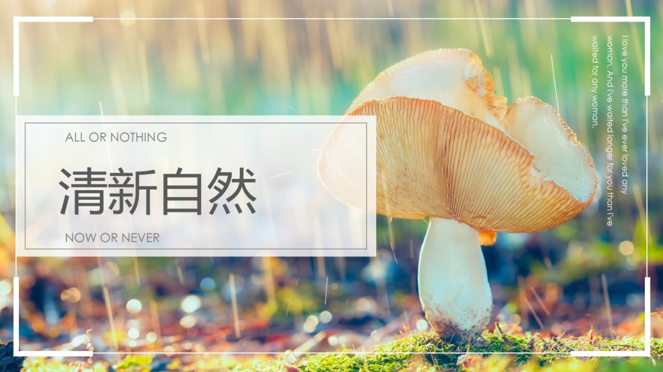 清新文艺48.pptx_第1页