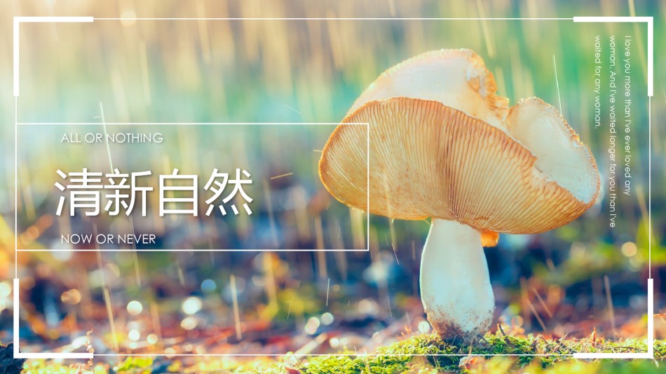 清新文艺48.pptx_第2页