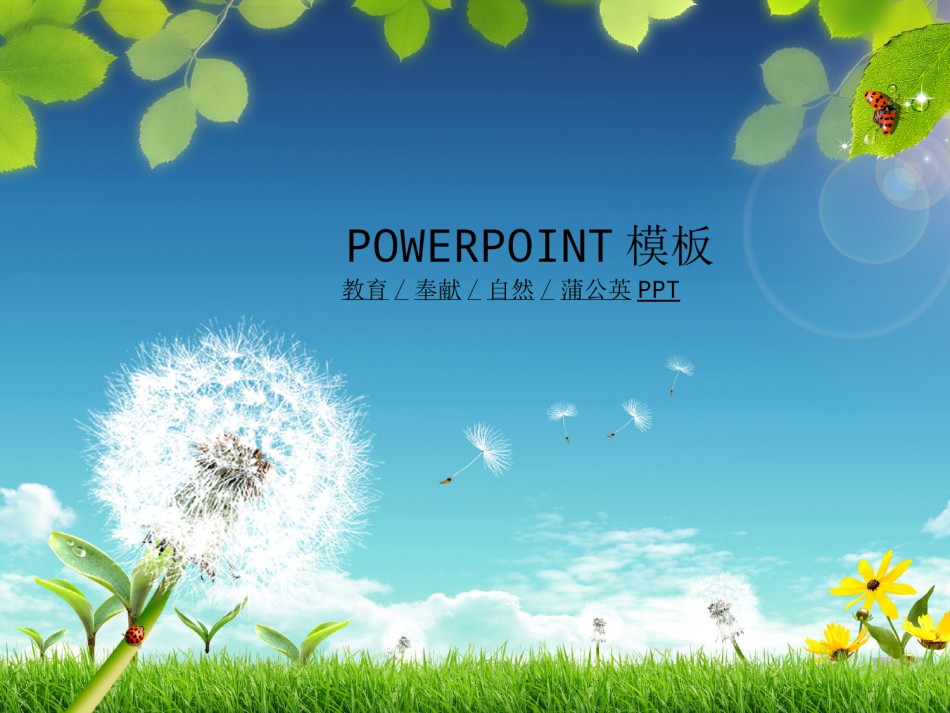 节日庆典(44).ppt_第1页
