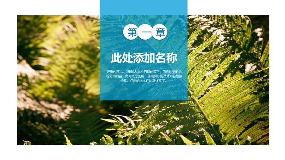 旅游相册 (15).pptx_第3页