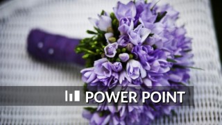 通用模板2187.ppt