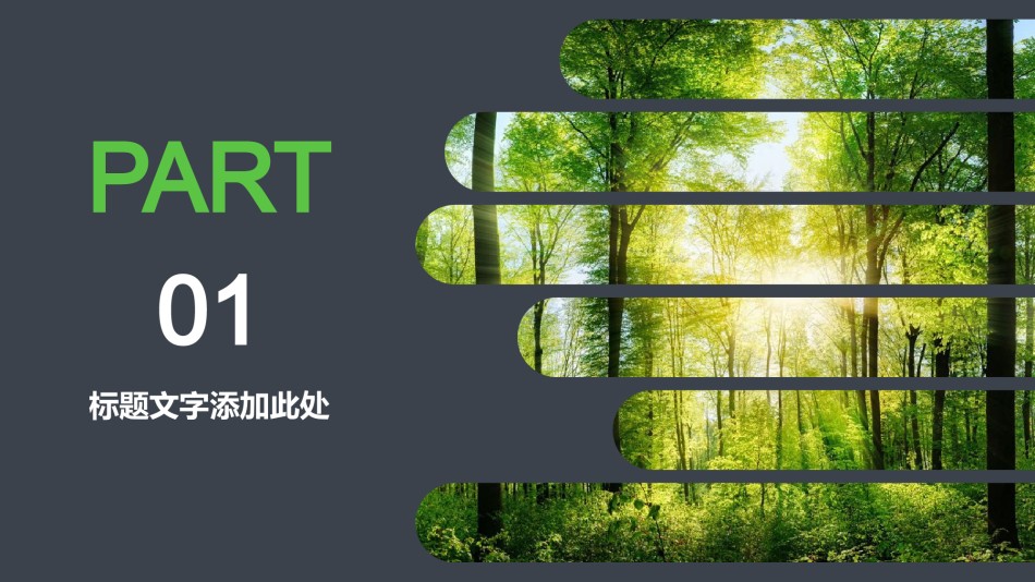 绿色环保 (32).pptx_第3页