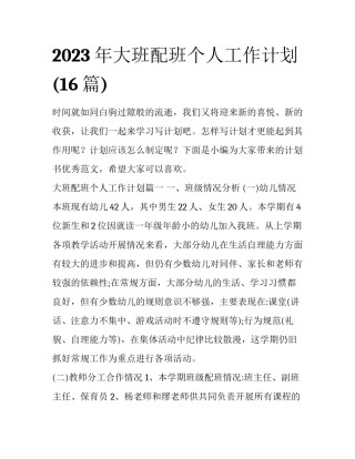 2023年大班配班个人工作计划(16篇)