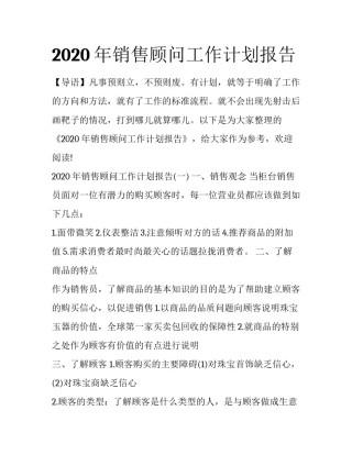 2020年销售顾问工作计划报告
