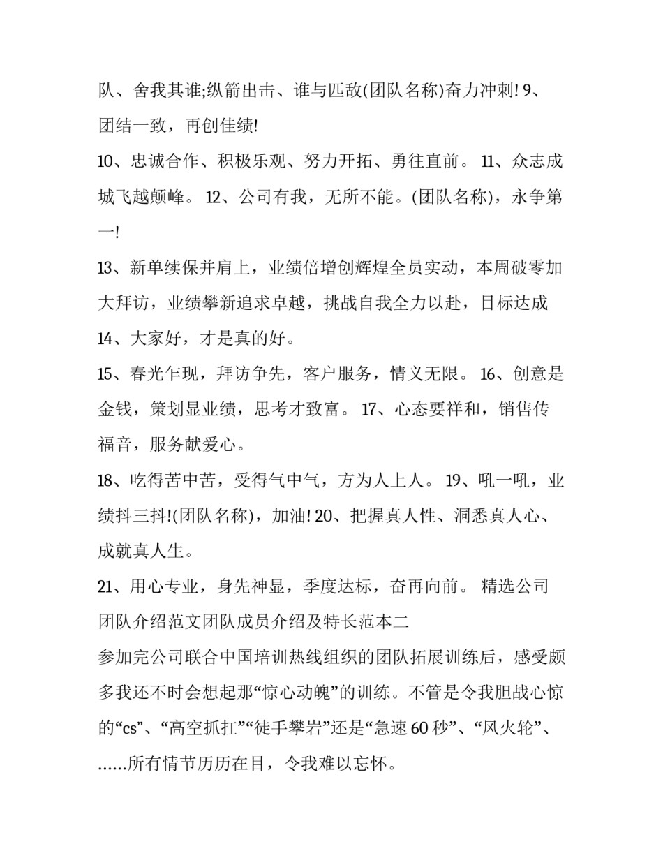 公司团队介绍范文团队成员介绍及特长范本 公司团队介绍范文团队成员介绍及特长范本怎么写(4篇)_第2页