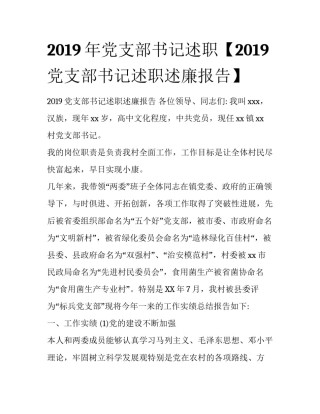 2019年党支部书记述职【2019党支部书记述职述廉报告】