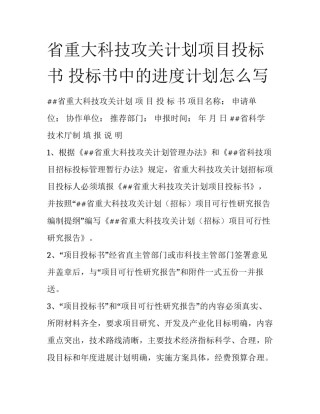 省重大科技攻关计划项目投标书 投标书中的进度计划怎么写
