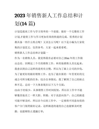 2023年销售新人工作总结和计划(14篇)