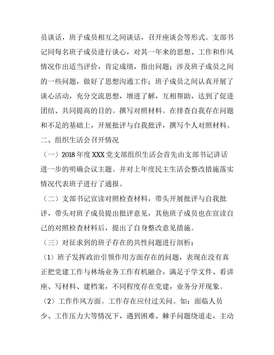 XXX党支部2018年度组织生活会情况报告:党支部工作情况报告_第2页