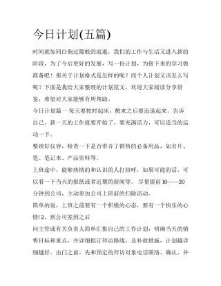 今日计划(五篇)