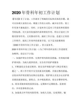 2020年骨科年初工作计划