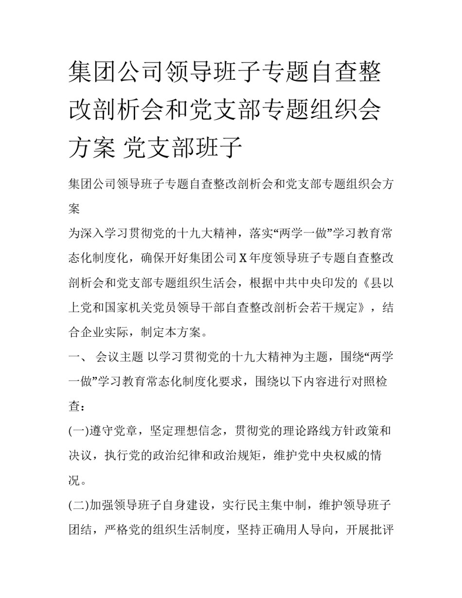 集团公司领导班子专题自查整改剖析会和党支部专题组织会方案 党支部班子_第1页