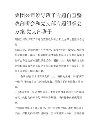 集团公司领导班子专题自查整改剖析会和党支部专题组织会方案 党支部班子
