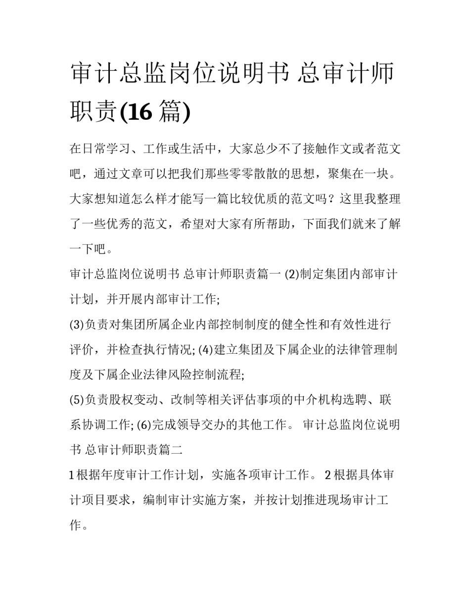 审计总监岗位说明书 总审计师职责(16篇)_第1页