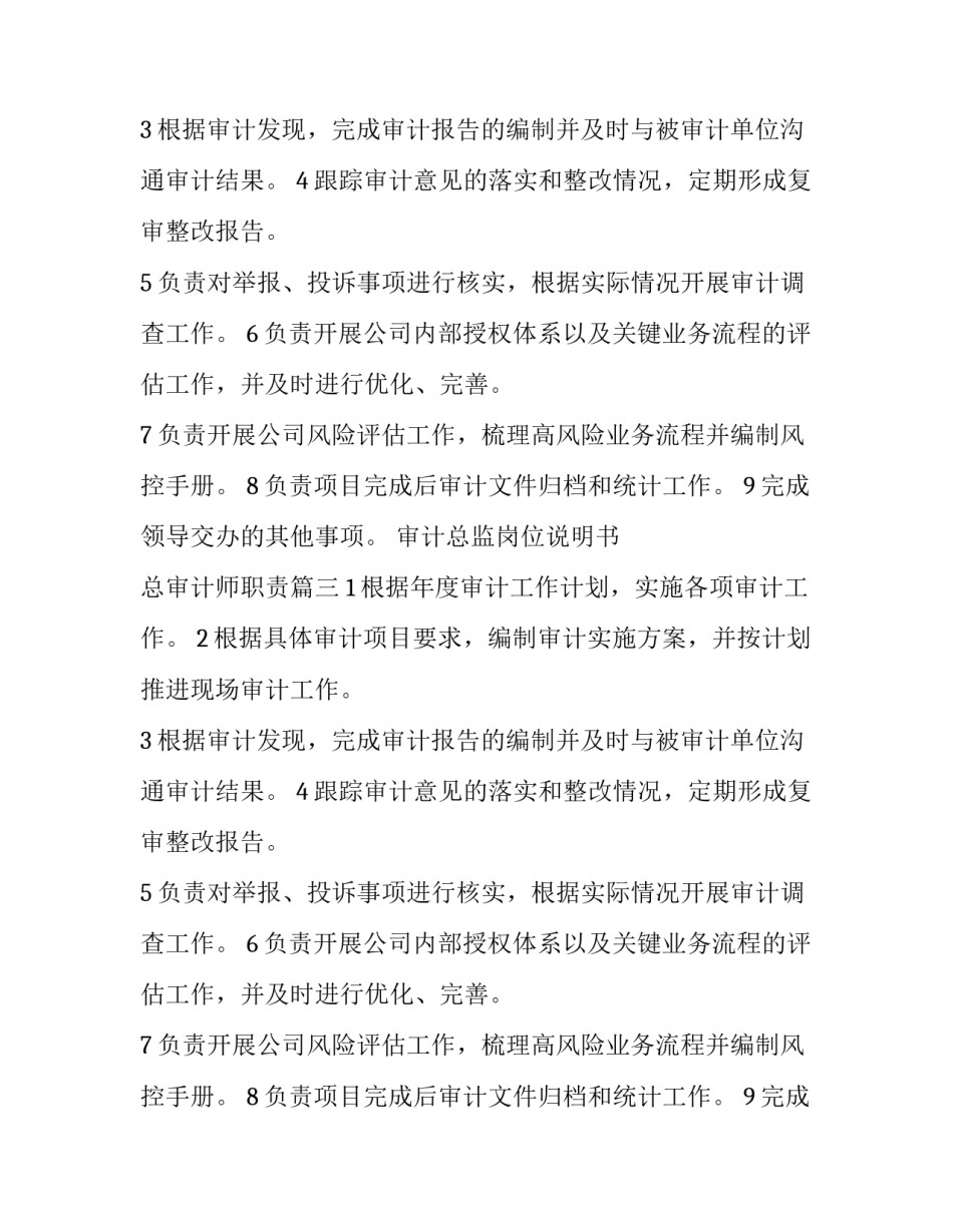 审计总监岗位说明书 总审计师职责(16篇)_第2页