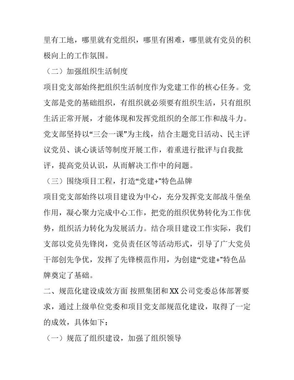 项目党支部规范化建设成效总结报告 村党支部规范化建设创建成效_第2页